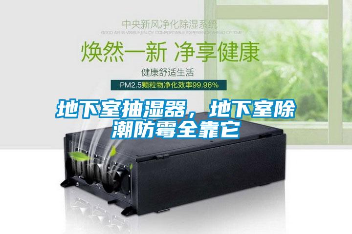 地下室抽湿器，地下室除潮防霉全靠它