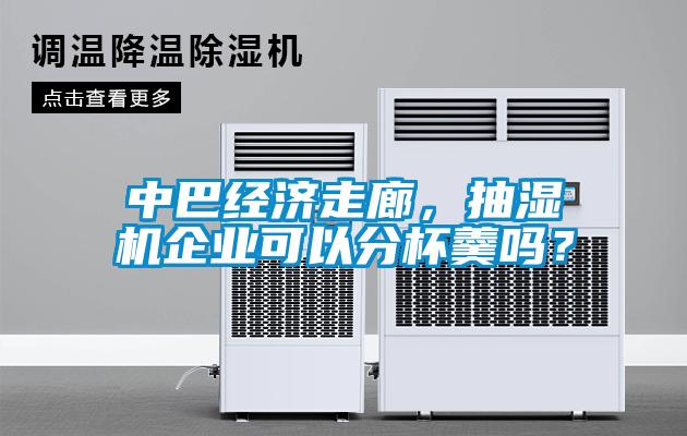 中巴经济走廊，抽湿机企业可以分杯羹吗？