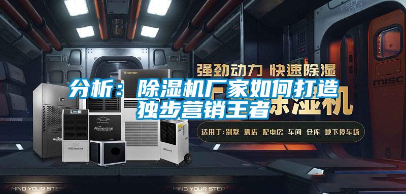 分析：除湿机厂家如何打造独步营销王者