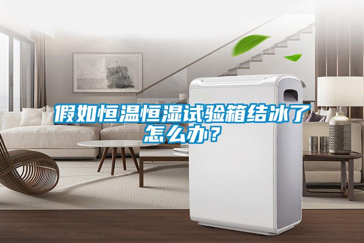 假如恒温恒湿试验箱结冰了怎么办？