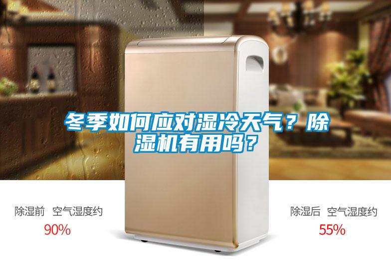 冬季如何应对湿冷天气？除湿机有用吗？