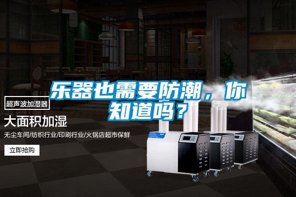 乐器也需要防潮，你知道吗？