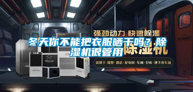 冬天你不能把衣服晒干吗？除湿机很管用