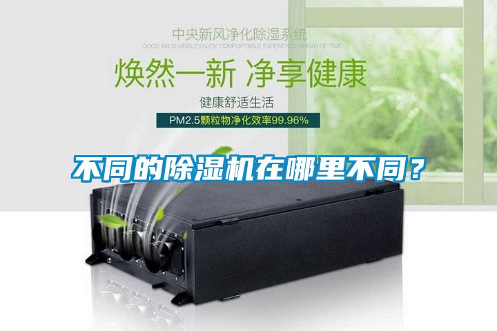 不同的除湿机在哪里不同？