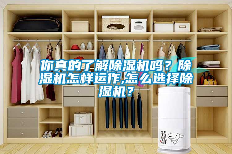 你真的了解除湿机吗？除湿机怎样运作,怎么选择除湿机？