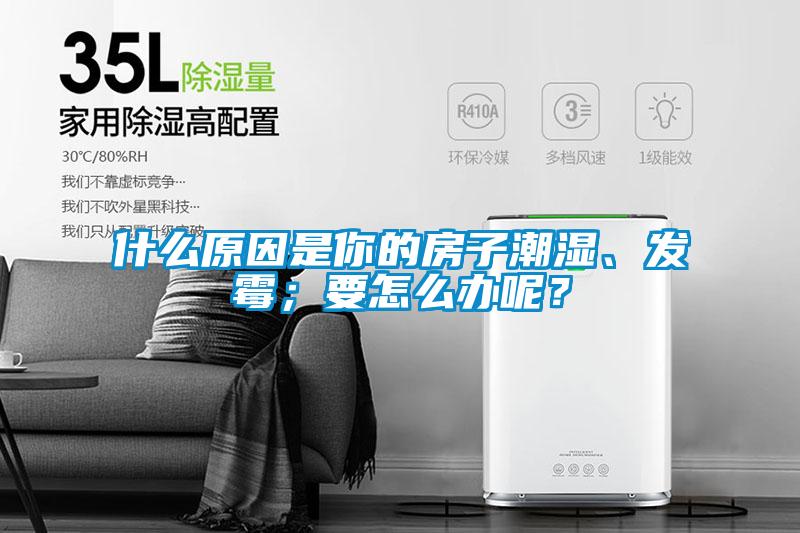 什么原因是你的房子潮湿、发霉；要怎么办呢？