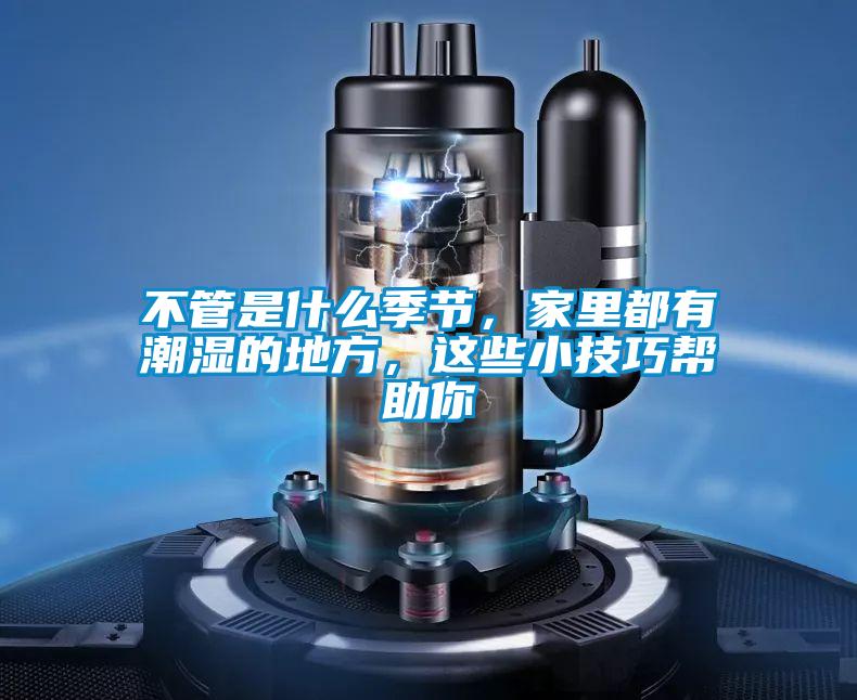 不管是什么季节，家里都有潮湿的地方，这些小技巧帮助你