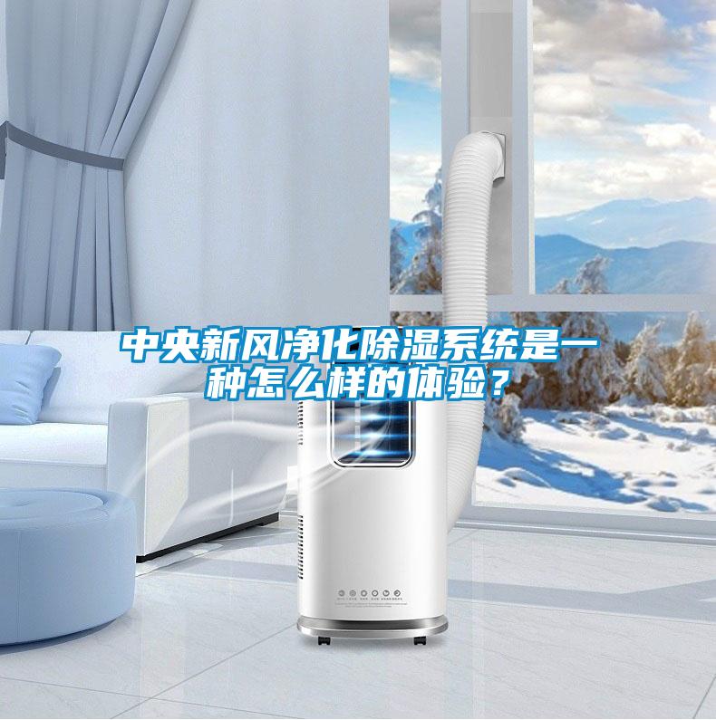 中央新风净化除湿系统是一种怎么样的体验？