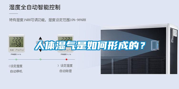 人体湿气是如何形成的？