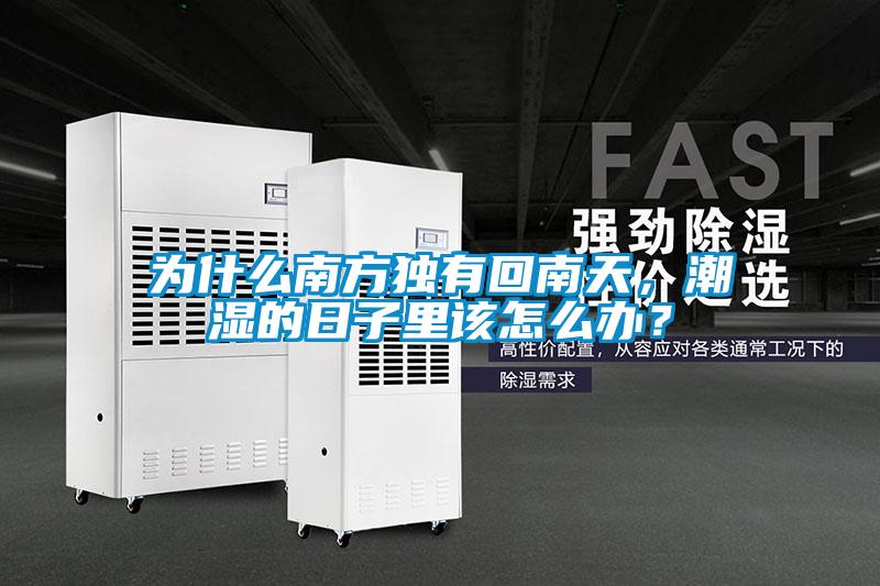 为什么南方独有回南天，潮湿的日子里该怎么办？