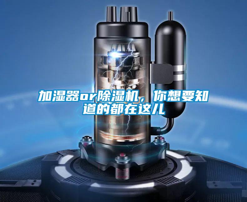 加湿器or除湿机，你想要知道的都在这儿