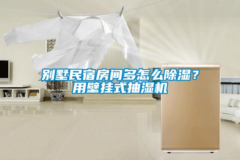 别墅民宿房间多怎么除湿？用壁挂式抽湿机