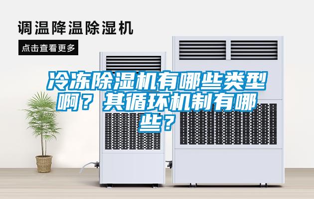冷冻除湿机有哪些类型??？其循环机制有哪些？