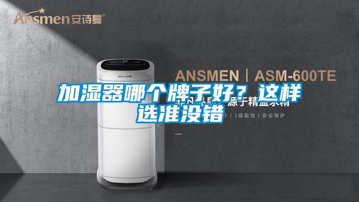 加湿器哪个牌子好？这样选准没错