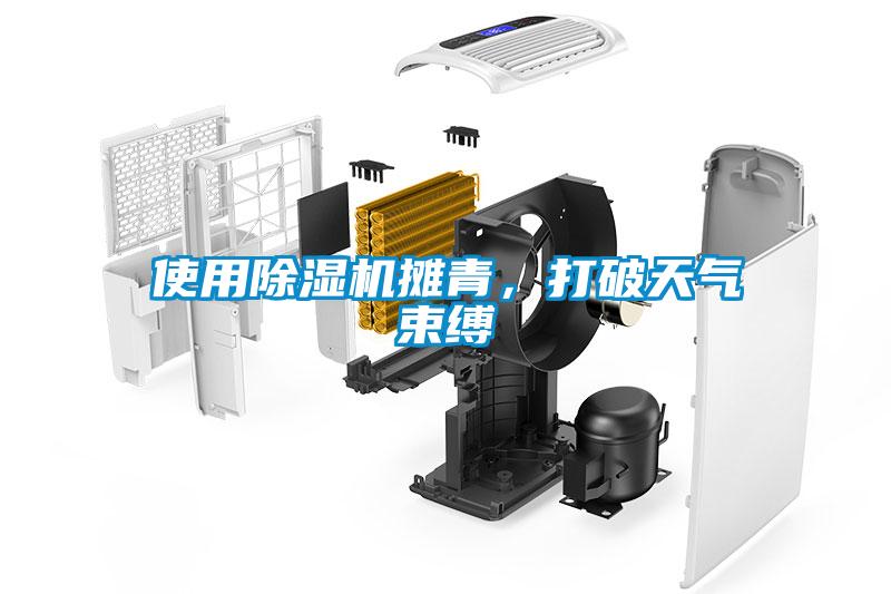 使用除湿机摊青，打破天气束缚