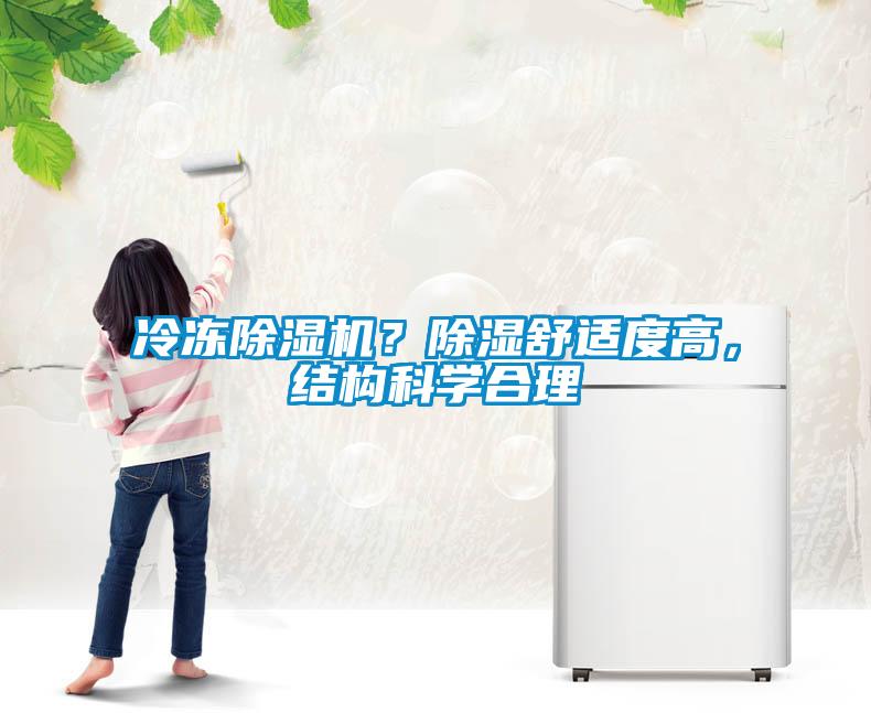 冷冻除湿机？除湿舒适度高，结构科学合理