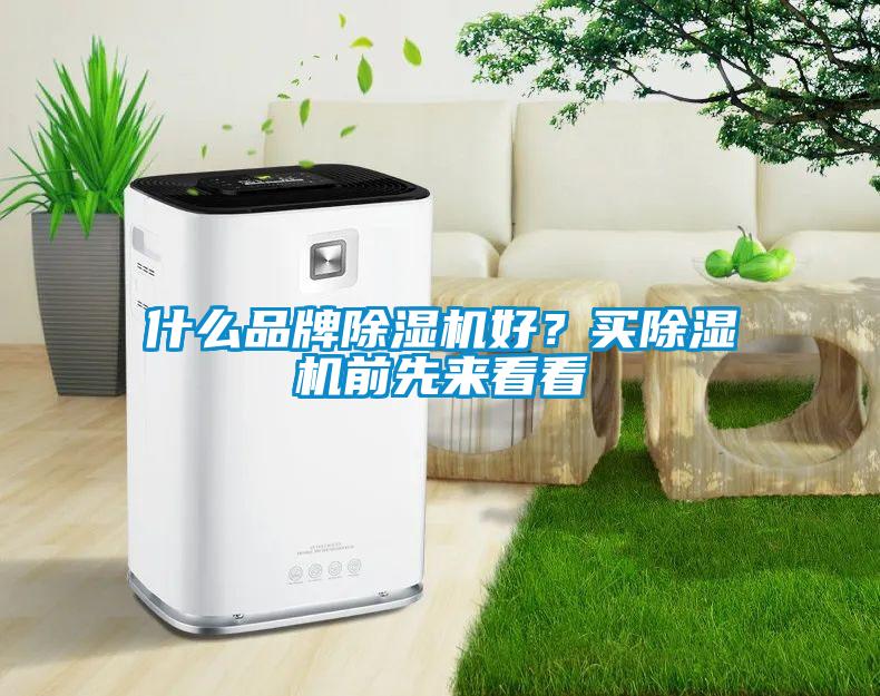 什么品牌除湿机好？买除湿机前先来看看