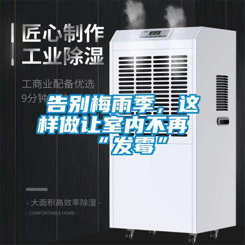 告别梅雨季，这样做让室内不再“发霉”