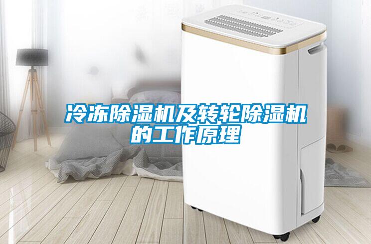 冷冻除湿机及转轮除湿机的工作原理