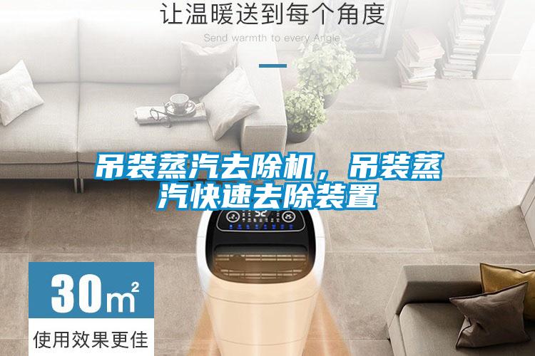 吊装蒸汽去除机，吊装蒸汽快速去除装置