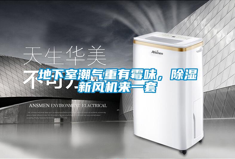 地下室潮气重有霉味，除湿新风机来一套