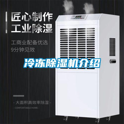 冷冻除湿机介绍
