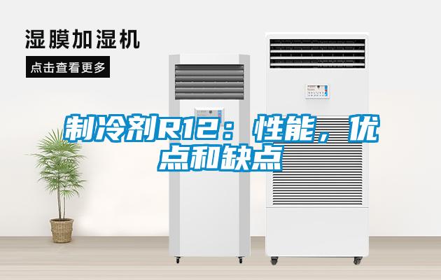 制冷剂R12：性能，优点和缺点
