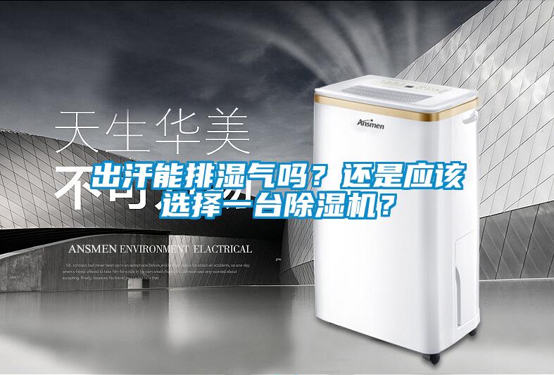 出汗能排湿气吗？还是应该选择一台除湿机？