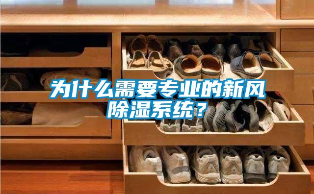 为什么需要专业的新风除湿系统？