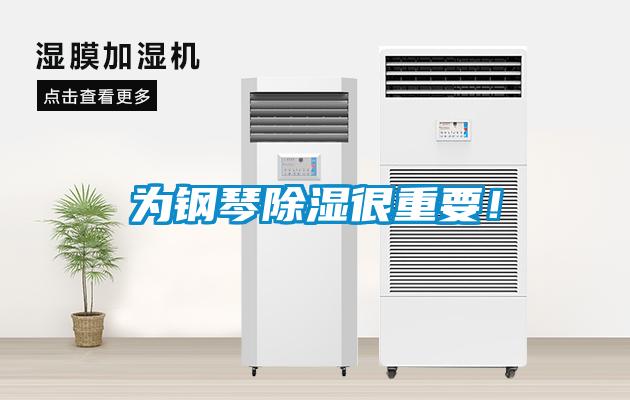 为钢琴除湿很重要！