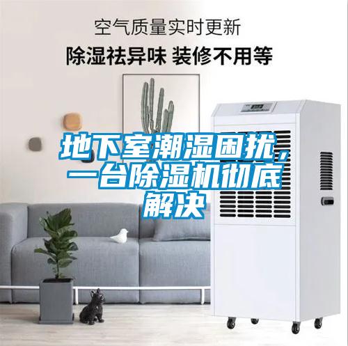 地下室潮湿困扰，一台除湿机彻底解决