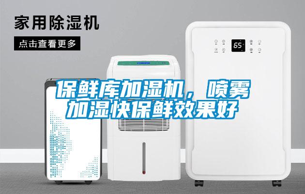 保鲜库加湿机，喷雾加湿快保鲜效果好