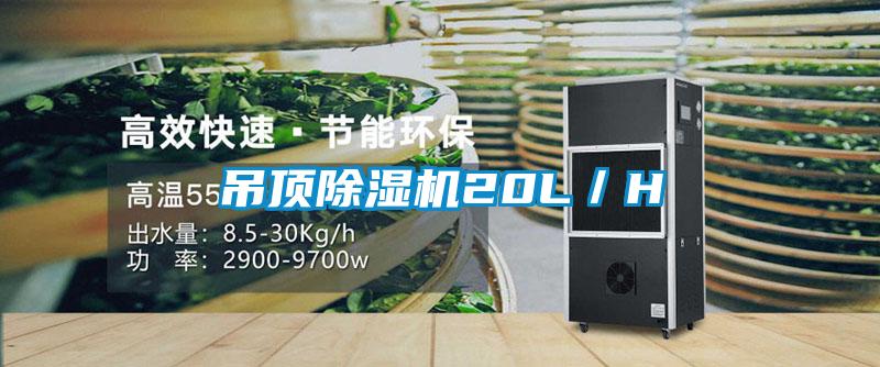 吊顶除湿机20L／H