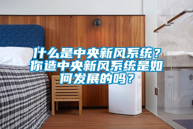 什么是中央新风系统？你造中央新风系统是如何发展的吗？