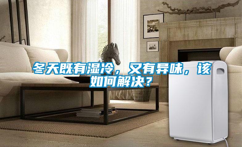 冬天既有湿冷，又有异味，该如何解决？