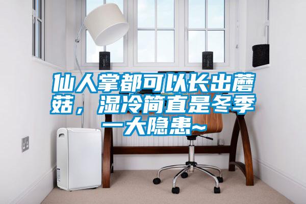 仙人掌都可以长出蘑菇，湿冷简直是冬季一大隐患~