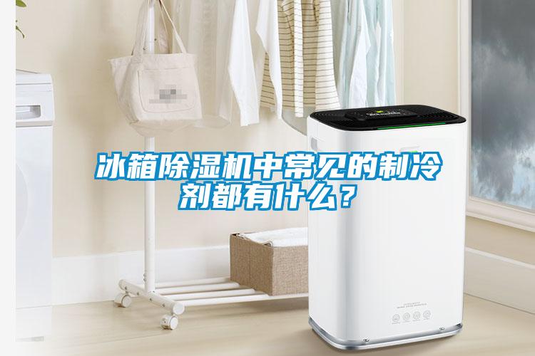 冰箱除湿机中常见的制冷剂都有什么？