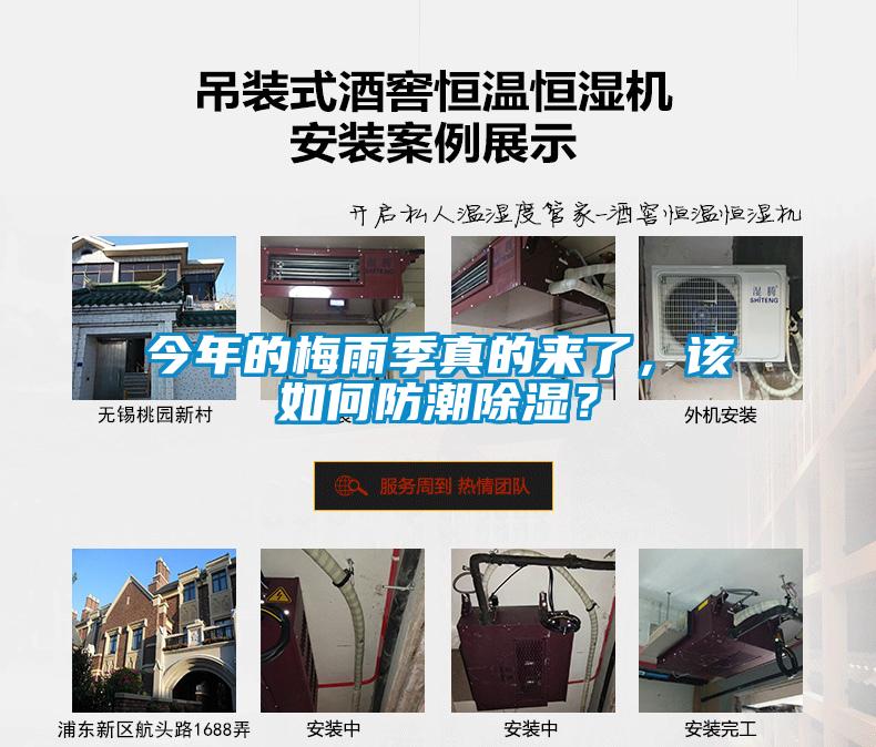 今年的梅雨季真的来了，该如何防潮除湿？
