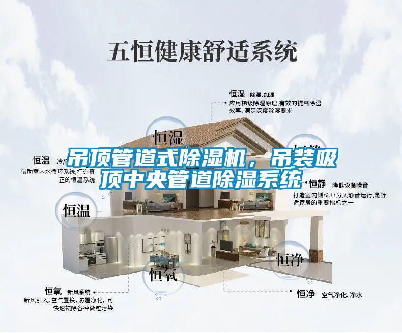 吊顶管道式除湿机，吊装吸顶中央管道除湿系统