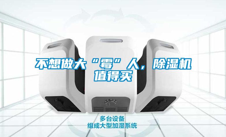 不想做大“霉”人，除湿机值得买