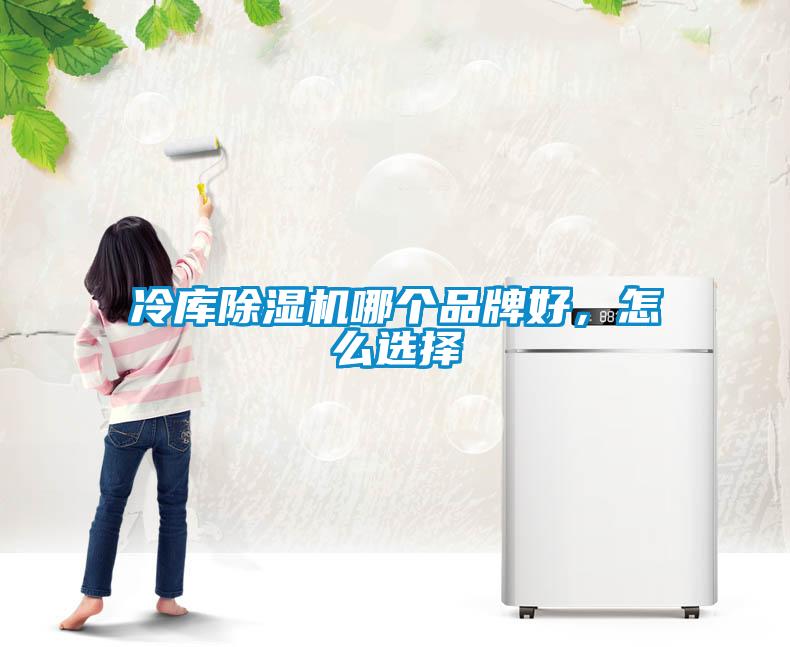 冷库除湿机哪个品牌好，怎么选择