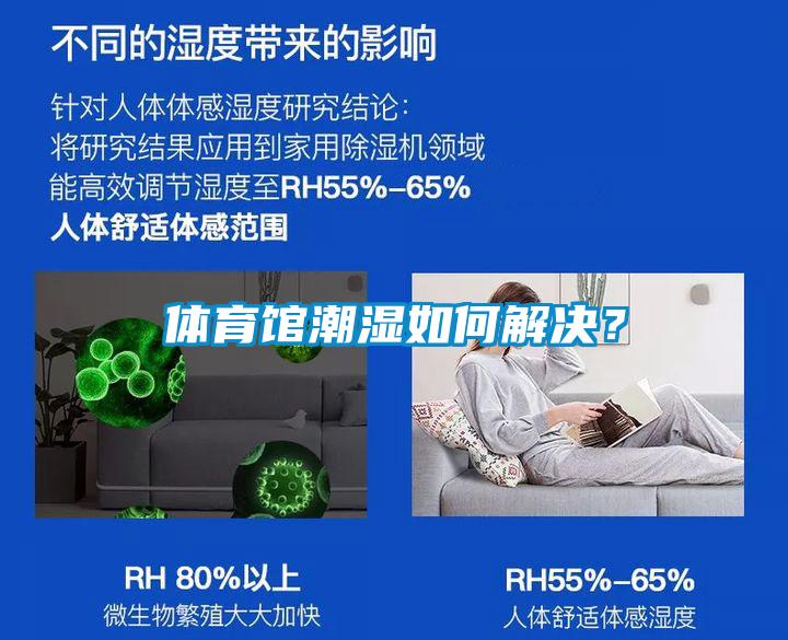 体育馆潮湿如何解决？