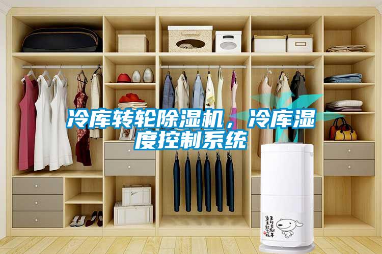 冷库转轮除湿机，冷库湿度控制系统