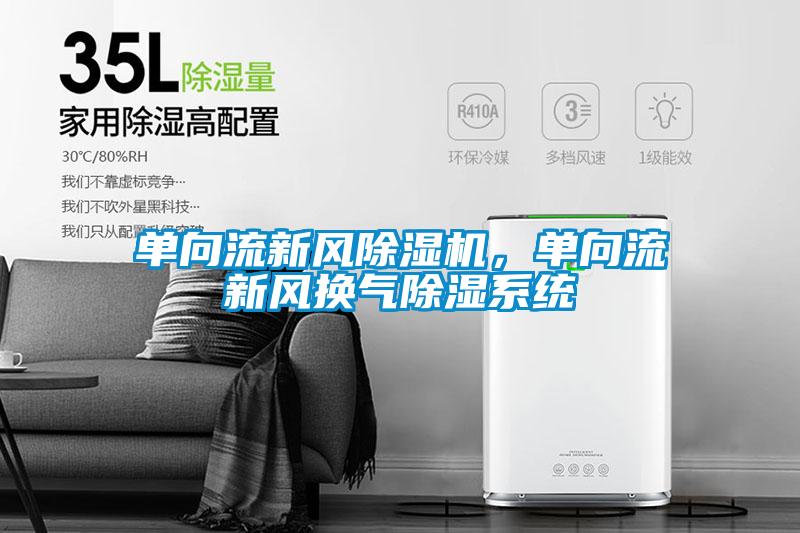 单向流新风除湿机，单向流新风换气除湿系统