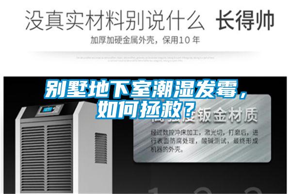 别墅地下室潮湿发霉，如何拯救？