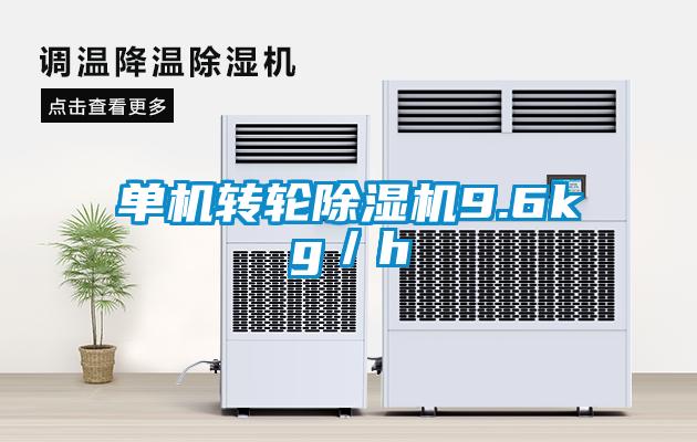 单机转轮除湿机9.6kg／h