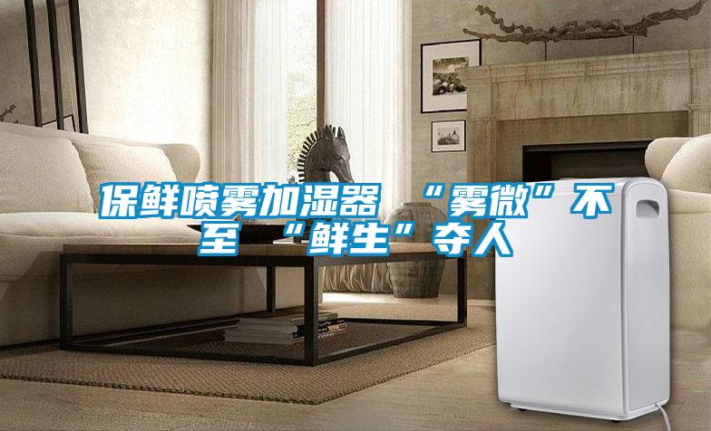 保鲜喷雾加湿器 “雾微”不至 “鲜生”夺人