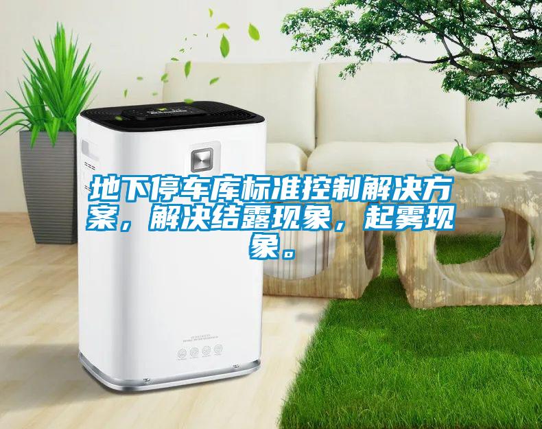 地下停车库标准控制解决方案，解决结露现象，起雾现象。