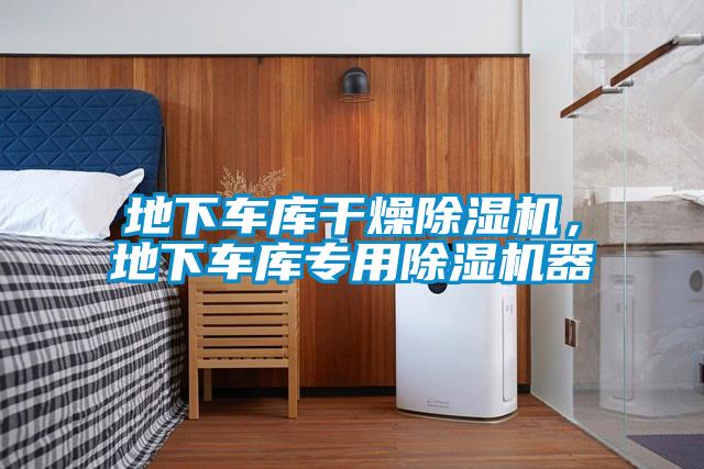 地下车库干燥除湿机，地下车库专用除湿机器
