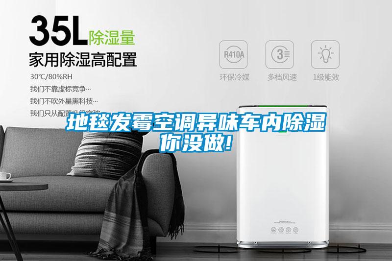 地毯发霉空调异味车内除湿你没做!